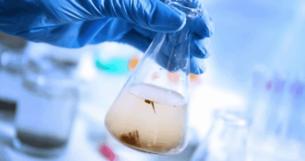 ETP Process in Textile Industry: Ensuring Eco Compliance